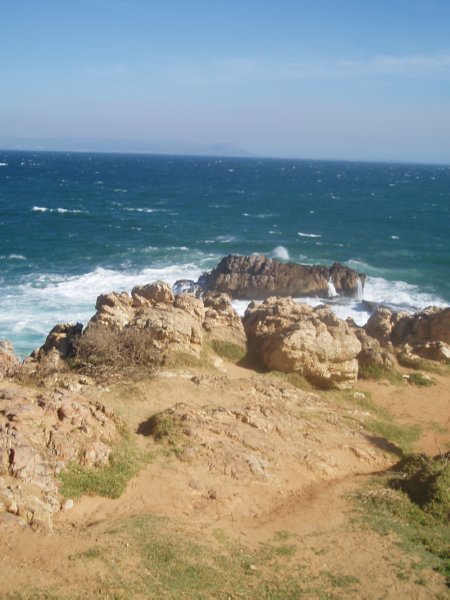 KeHa_in_South_Africa - 175